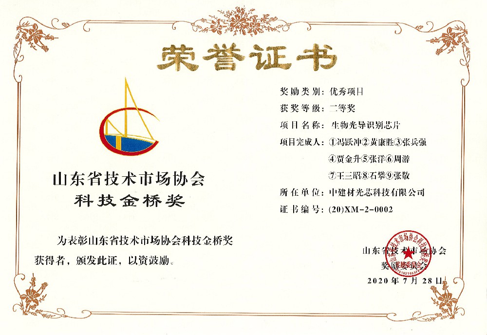 山东省技术市场协会“科技金桥奖”