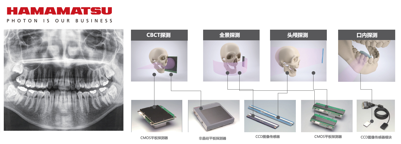 图片12.png